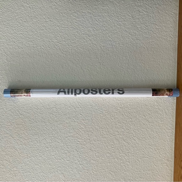 WICKED Movie Poster 22 x 34 Galinda Glinda Elphaba Ariana Grande Cynthia Erivo - Picture 8 of 10